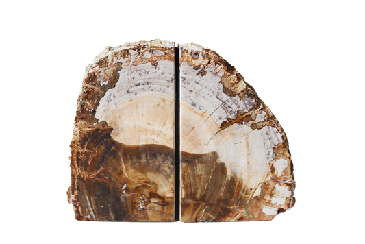 Petrified Wood Bookends - #1 Quality