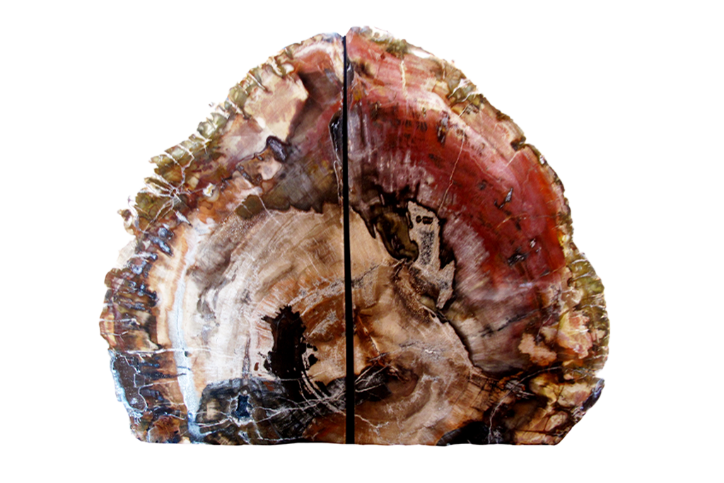 Petrified Wood Bookends - #1 Quality