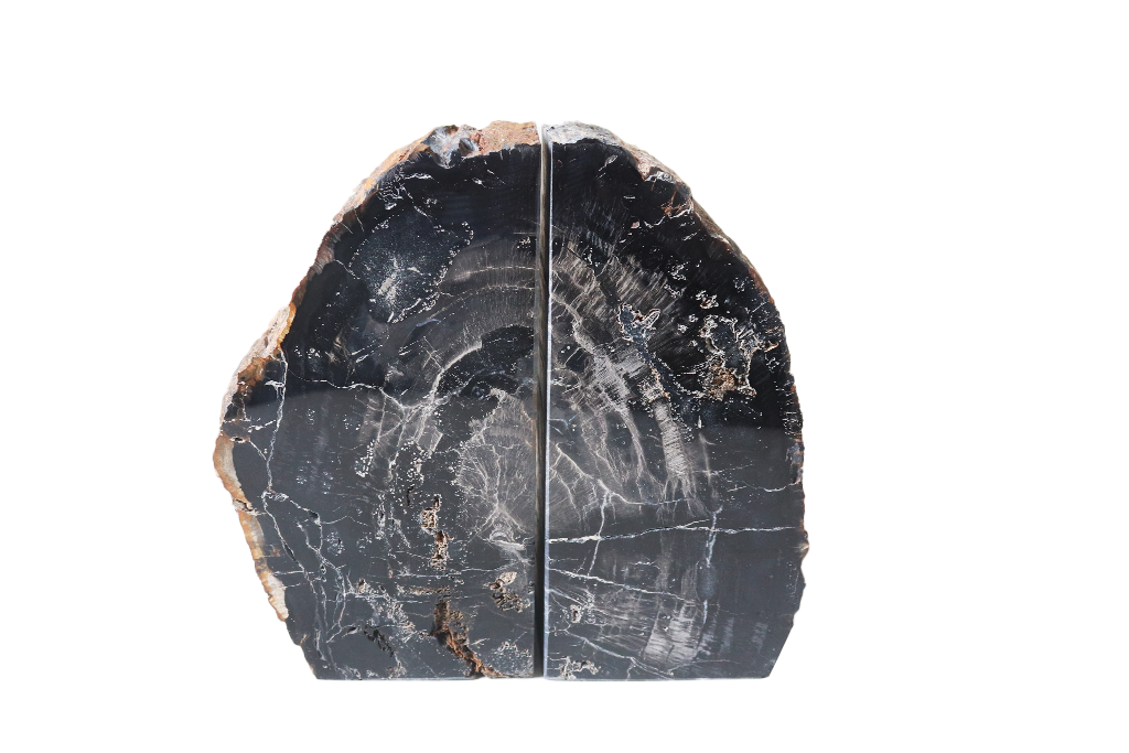 Petrified Wood Bookends - #1 Quality