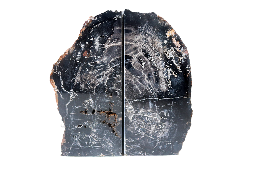Petrified Wood Bookends - #1 Quality
