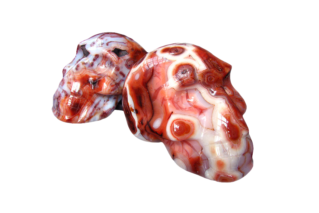 Handmade Carnelian Skull Carvings. Luxury Modern Interior Decoration