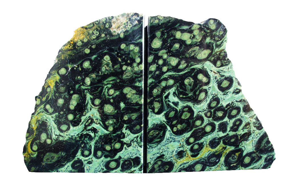 Crocodile Jasper Bookends