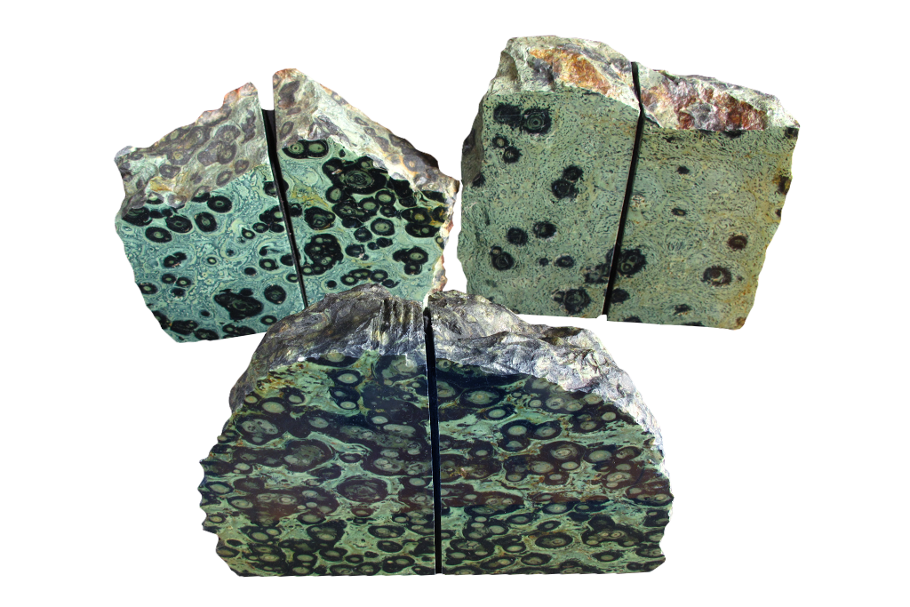 Crocodile Jasper Bookends