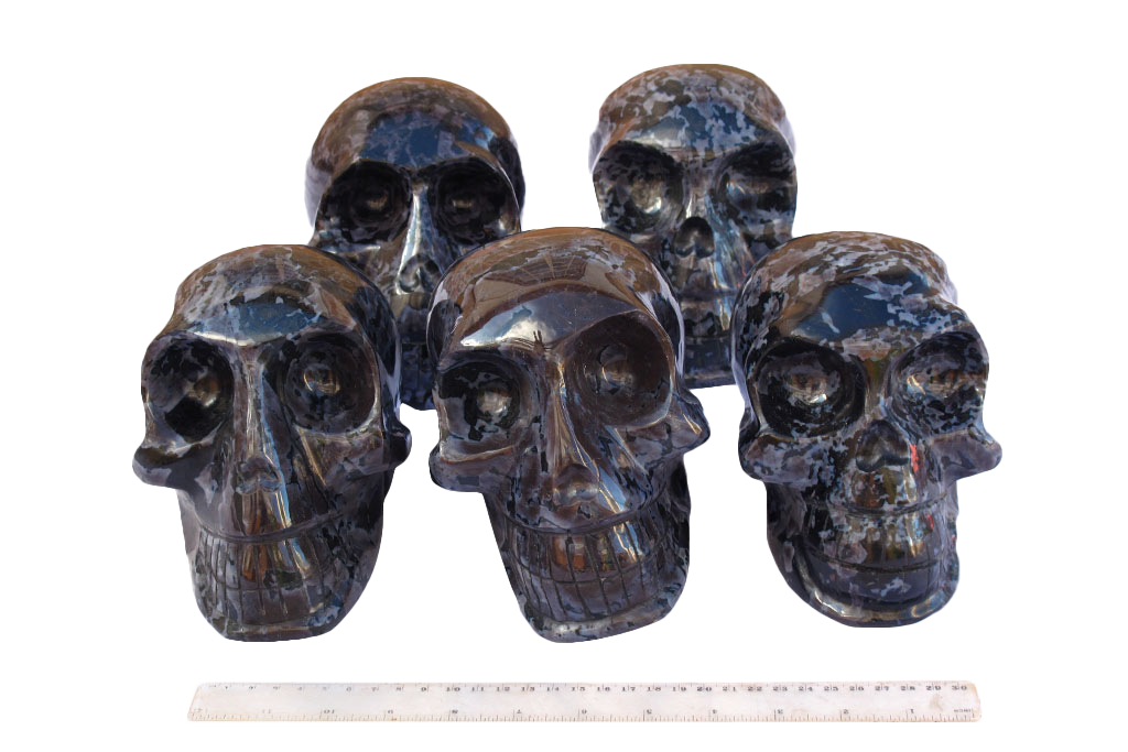 Indigo Gabbro Skull Carvings