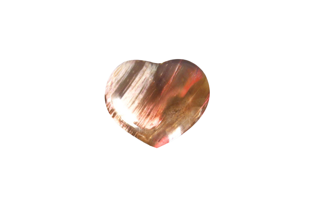 Petrified Wood Jewelry Heart