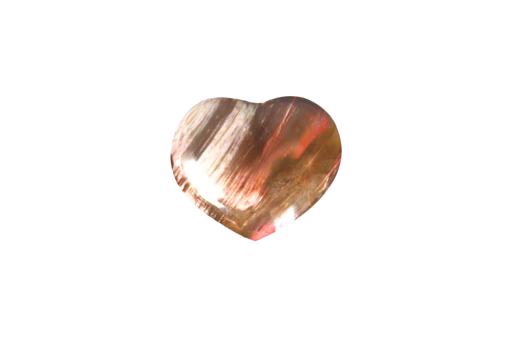 Petrified Wood Handmade Jewelry Heart Carvings. Gift or Decorative items