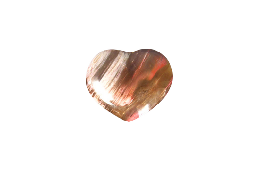 Petrified Wood Jewelry Heart
