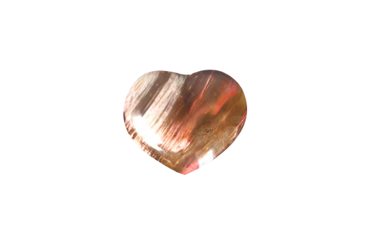 Petrified Wood Handmade Jewelry Heart Carvings. Gift or Decorative items