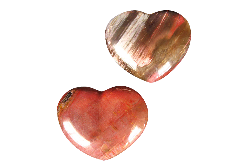 Petrified Wood Handmade Jewelry Heart Carvings. Gift or Decorative items