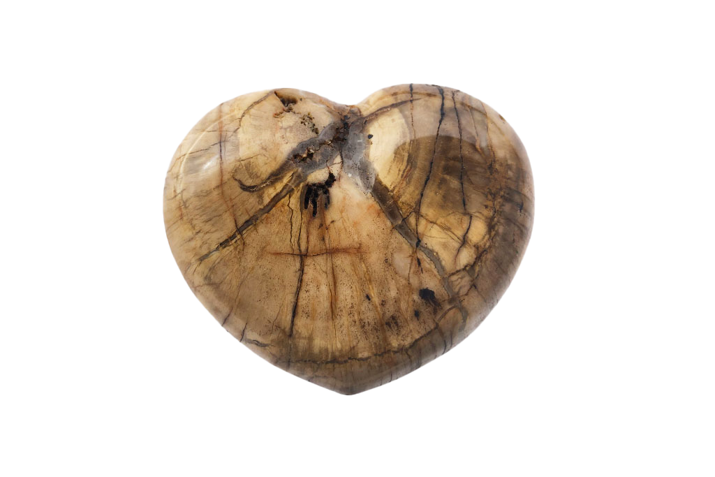 Petrified Wood Heart Carvings. Luxury and modern home decor. Gift idea items