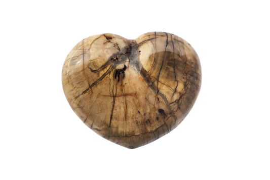 Petrified Wood Heart Carvings. Luxury and modern home decor. Gift idea items