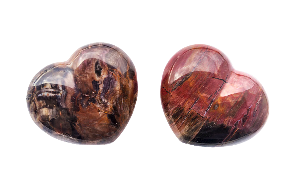 Petrified Wood Heart Carvings. Luxury and modern home decor. Gift idea items