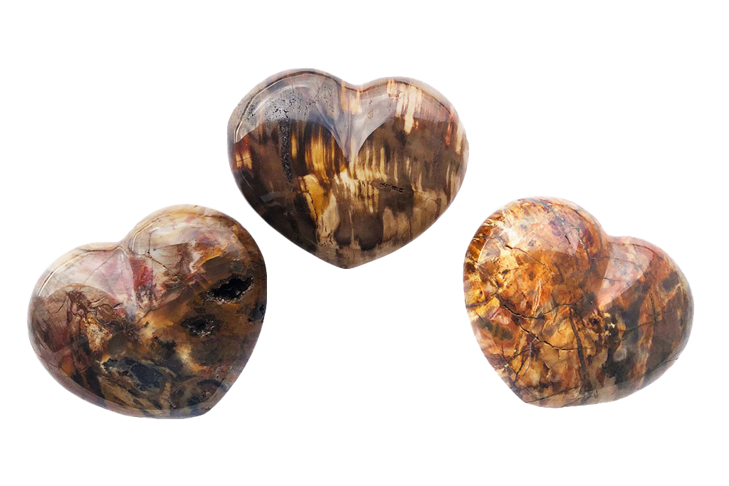 Petrified Wood Heart Carvings. Luxury and modern home decor. Gift idea items