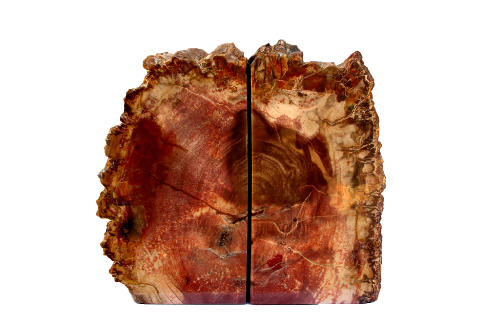 Petrified Wood Bookends - #1 Quality