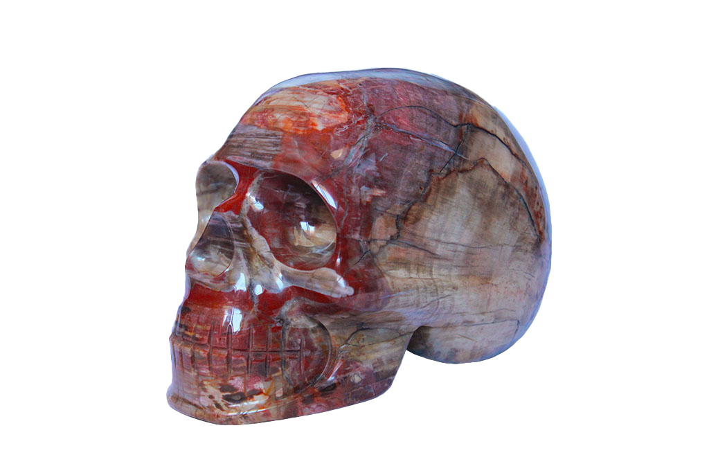 Petrified Wood Skull Carvings