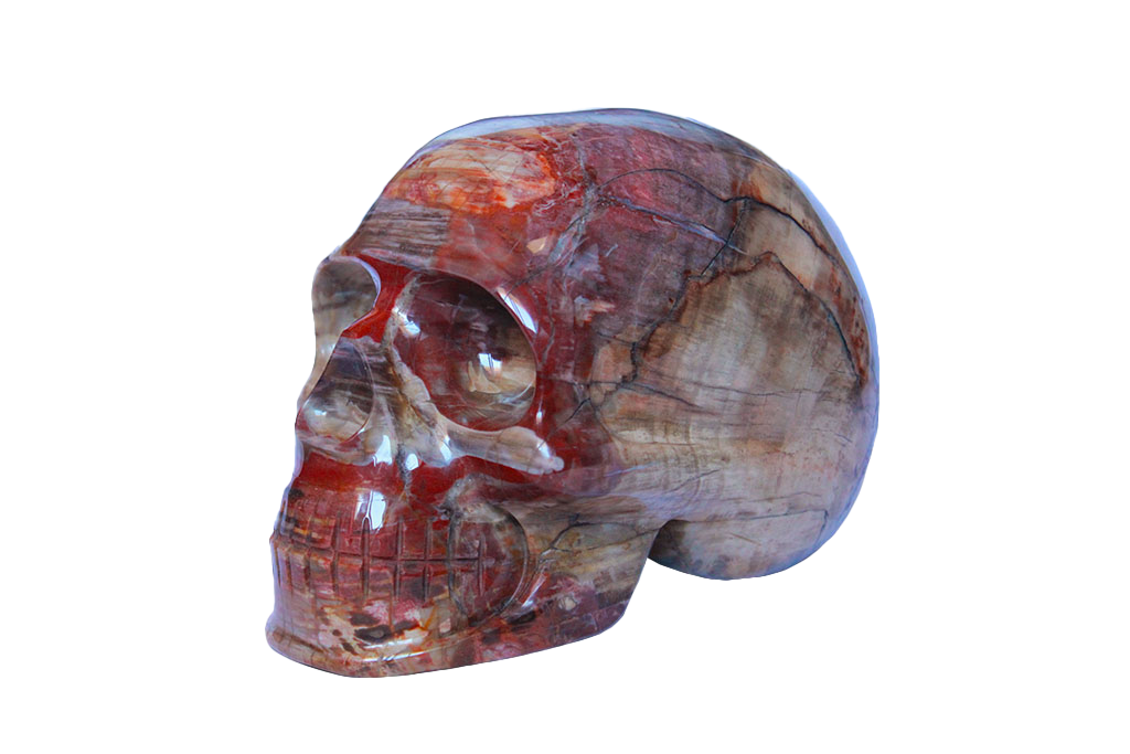 Handmade Petrified Wood Skull Carvings. Luxury Modern Interior Decoration