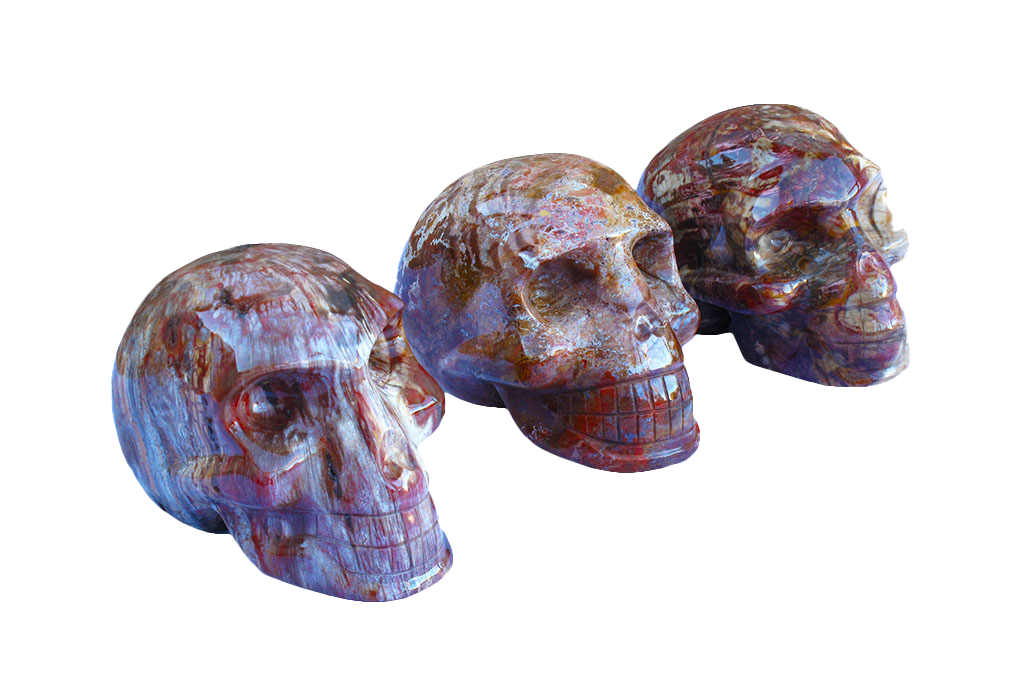 Petrified Wood Skull Carvings