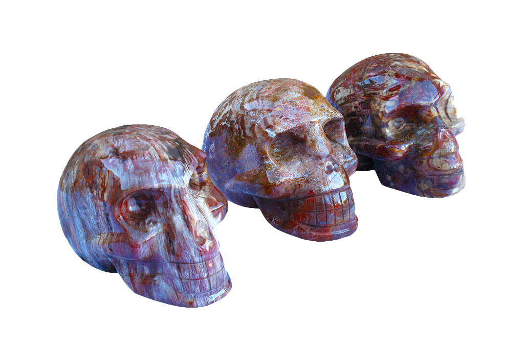 Handmade Petrified Wood Skull Carvings. Luxury Modern Interior Decoration