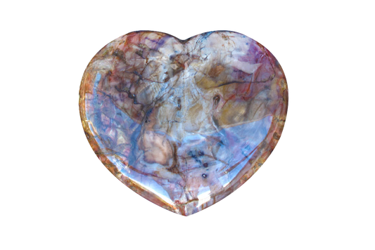 Petrified Wood Large Heart