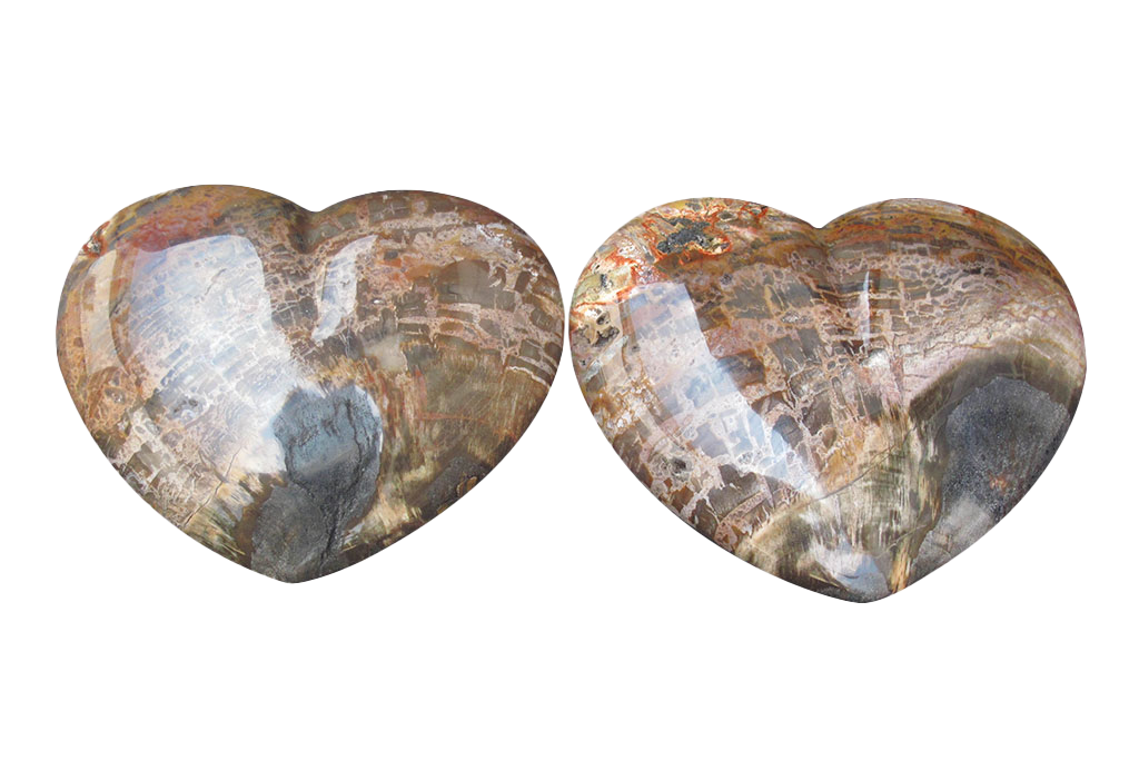 Petrified Wood Large Heart carvings. Luxury Home Decor. Gift item