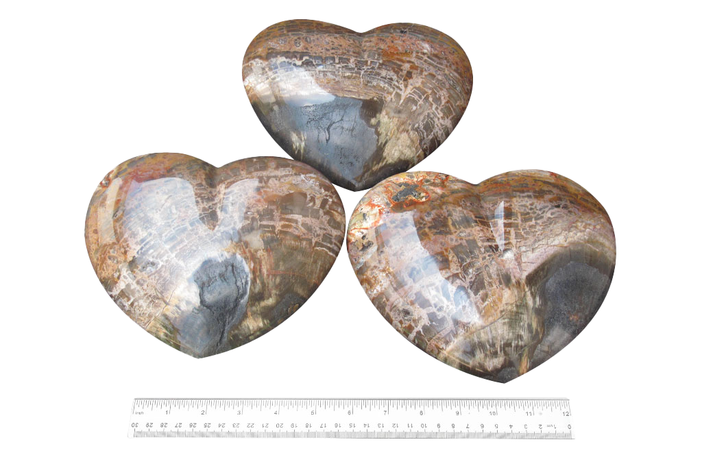 Petrified Wood Large Heart