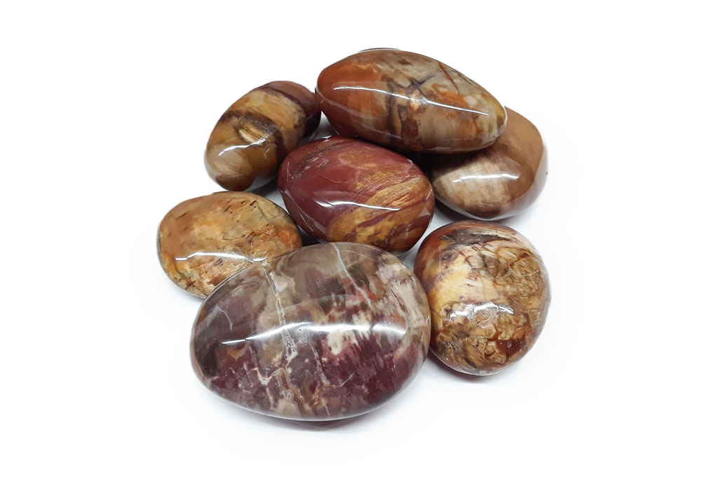 Petrified Wood Gallets - 1 lb Bag