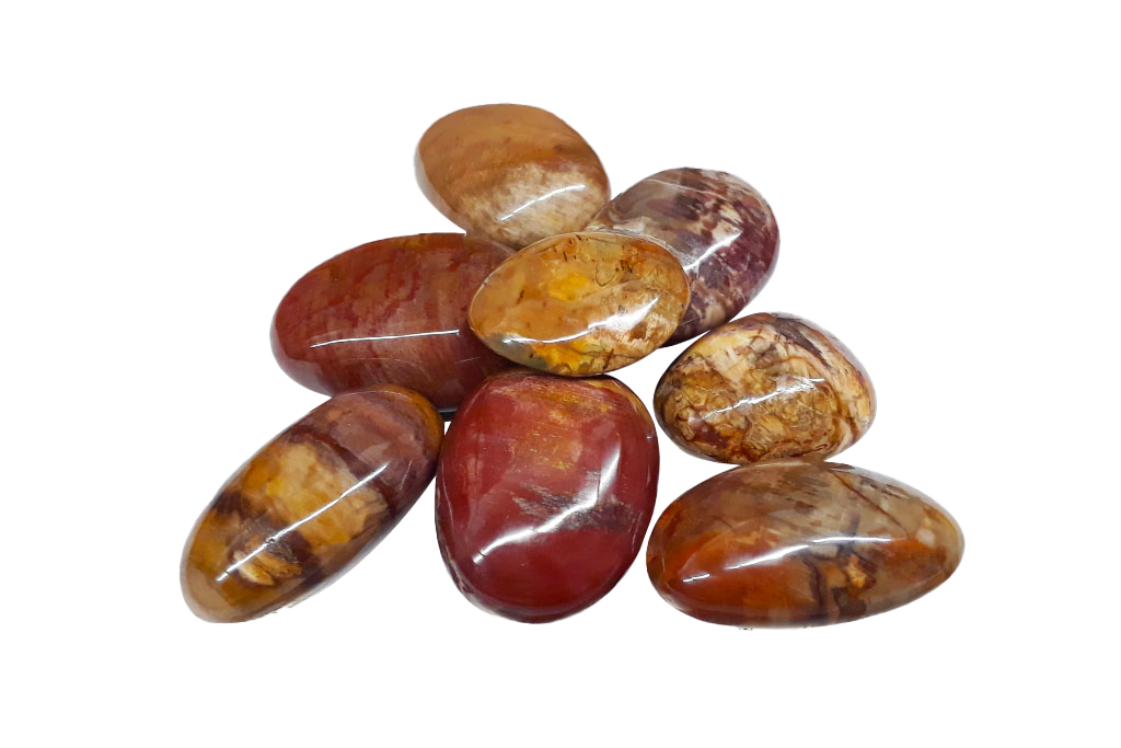 Petrified Wood Gallets - 1 lb Bag