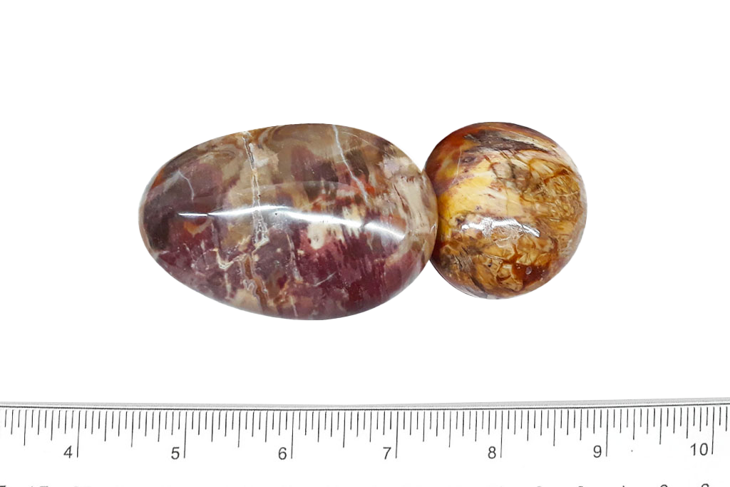 Petrified Wood Handpolished Gallets