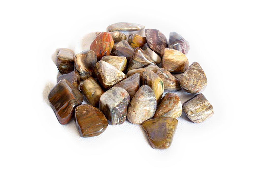 Petrified Wood Tumble Stones | 1 Lb Bag | 30-45mm