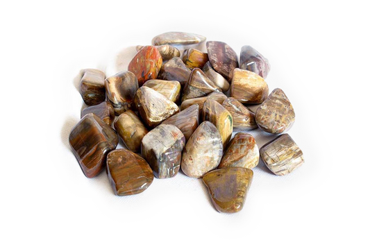 Petrified Wood Tumble Stones | 1 Lb Bag | 30-45mm