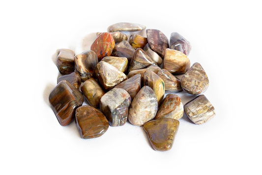 Petrified Wood Tumble Stones. Interior home decoration. Luxury Modern decoration