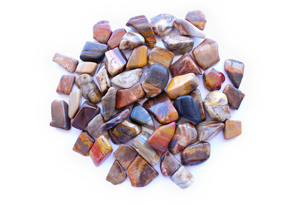 Petrified Wood Tumble Stones | 1 Lb Bag | 20-30mm