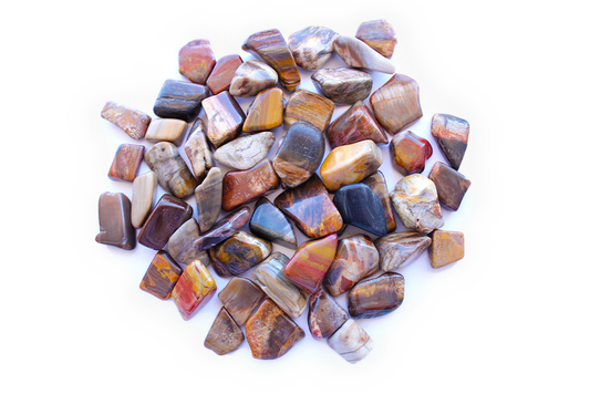 Petrified Wood Tumble Stones | 1 Lb Bag | 20-30mm