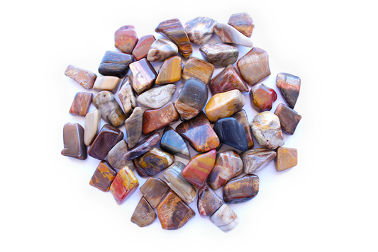 Petrified Wood Tumble Stones. Interior home decoration. Luxury Modern decoration