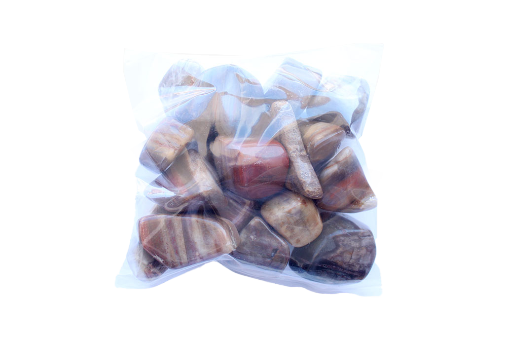 Petrified Wood Tumble Stones | 1 Lb Bag | 20-30mm