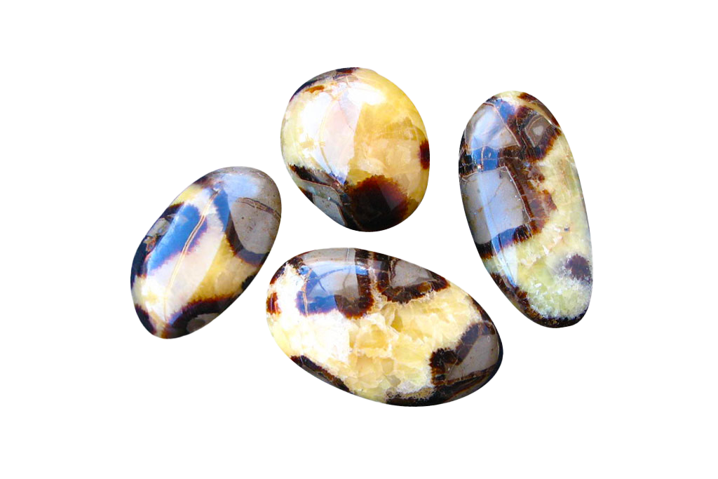 Septarian Handpolished Gallets