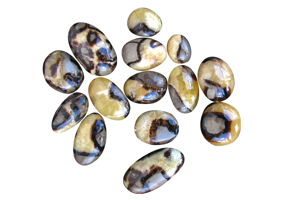 Septarian Handpolished Gallets