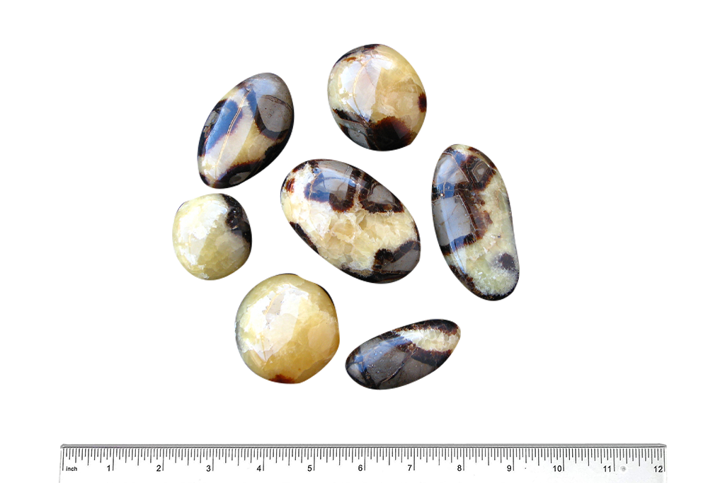 Septarian Handpolished Gallets