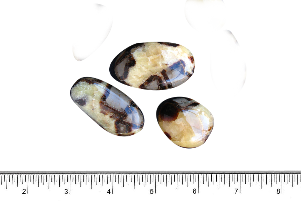 Septarian Handpolished Gallets