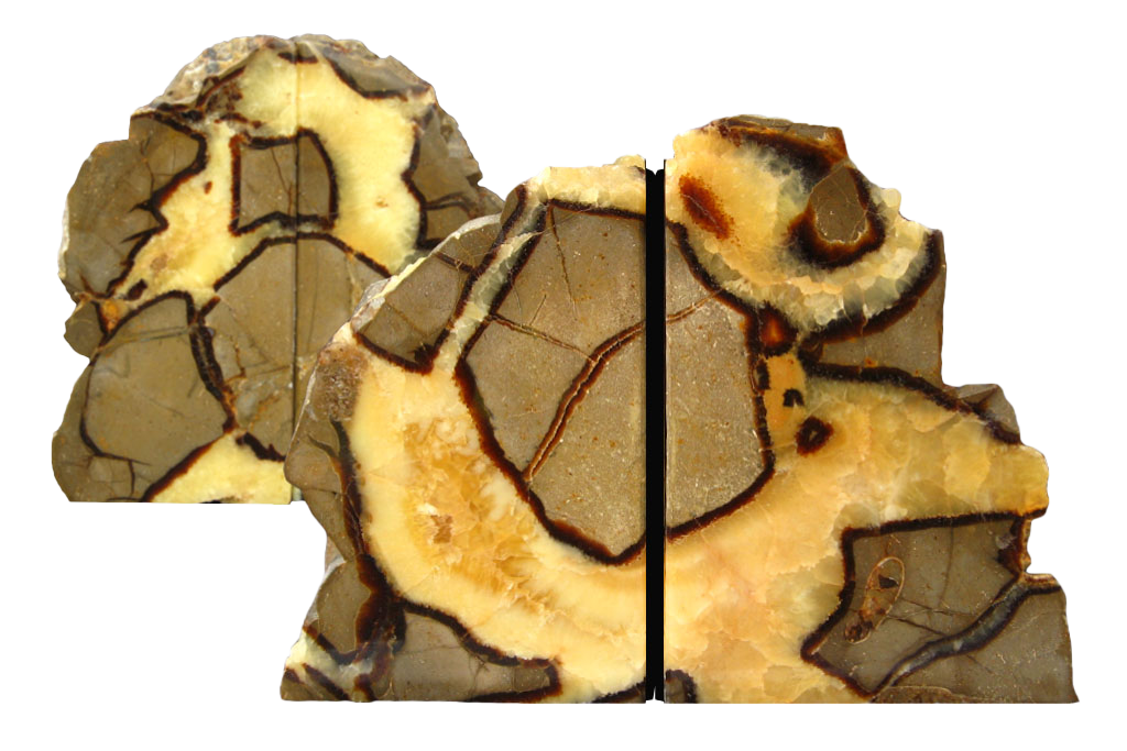 Septarian Bookends