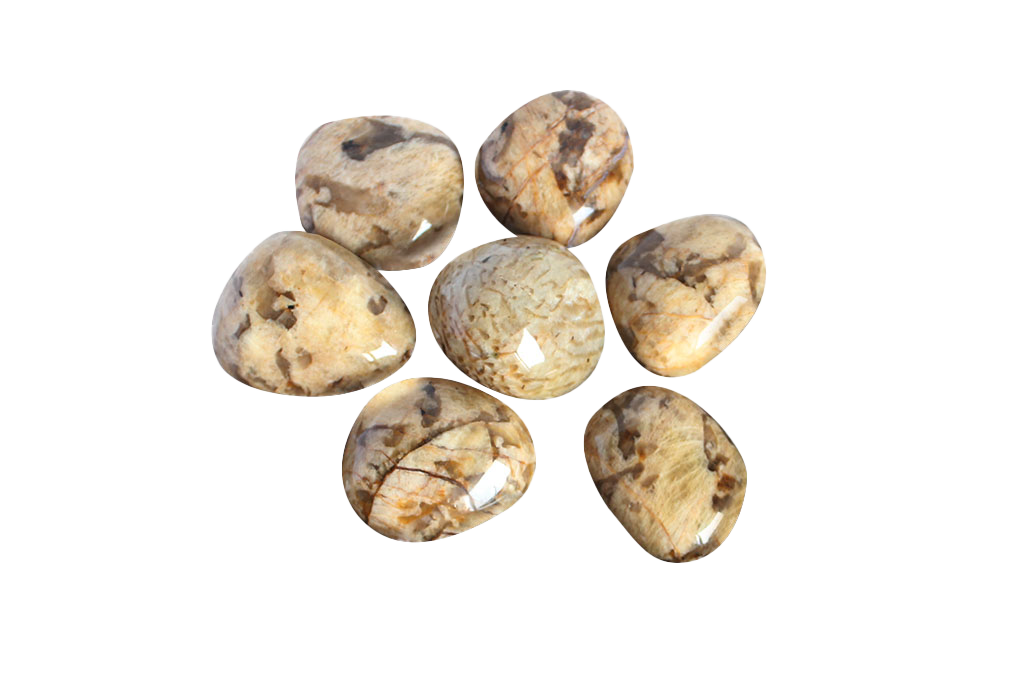 Zebradorite Handpolished Gallets