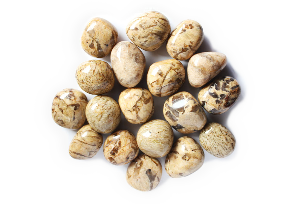 Zebradorite Gallets - 1 lb Bag