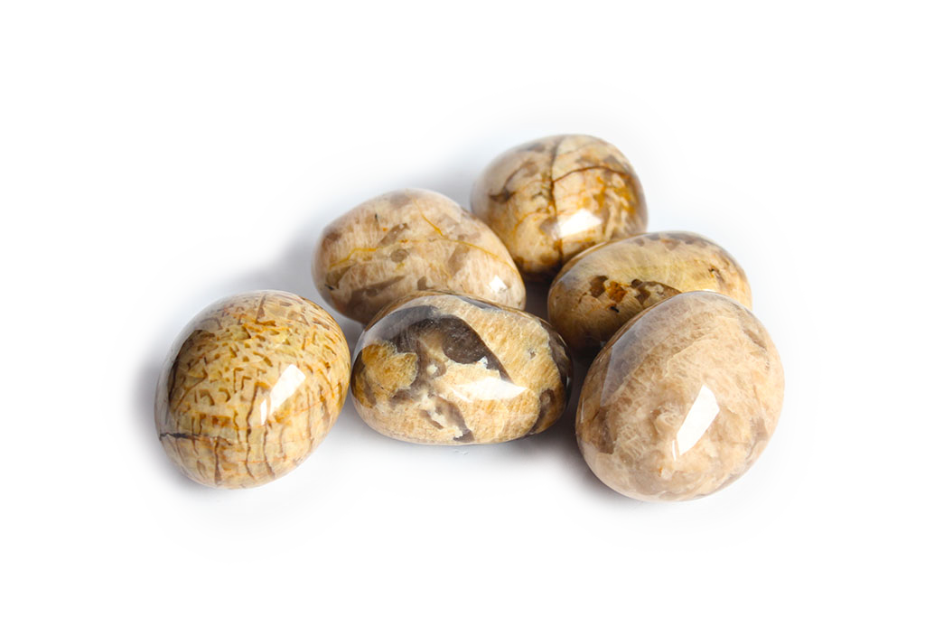 Zebradorite Gallets - 1 lb Bag