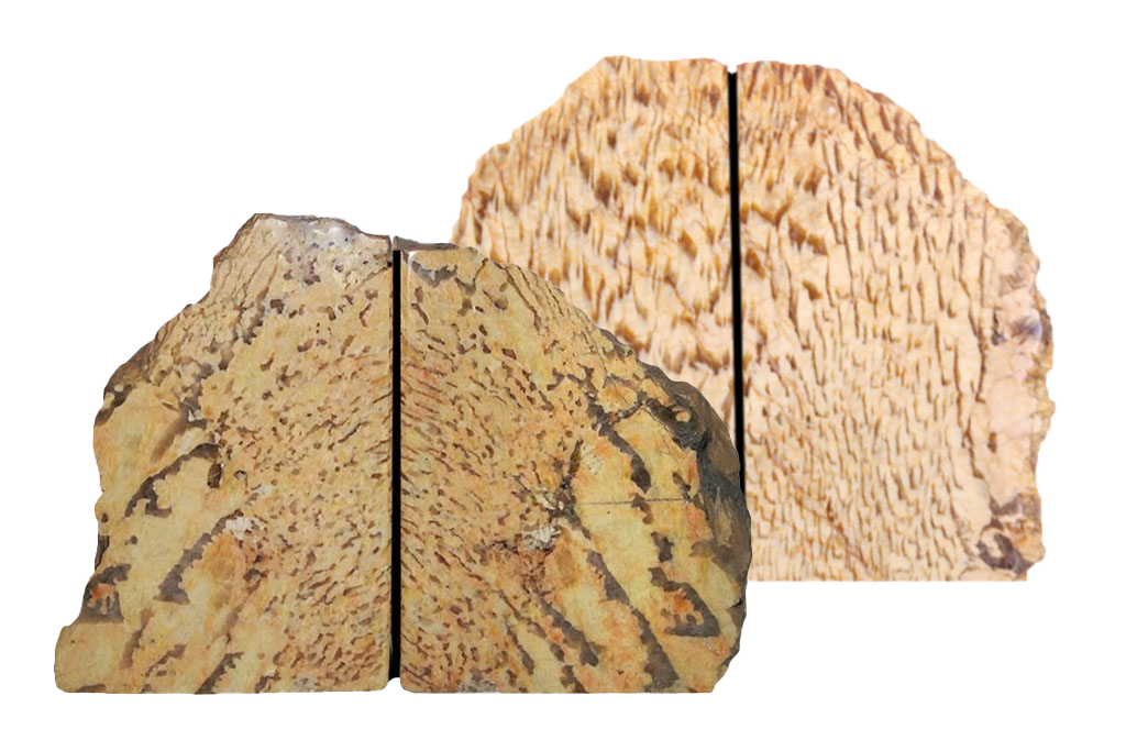 Zebradorite Bookends 1-3 Kg