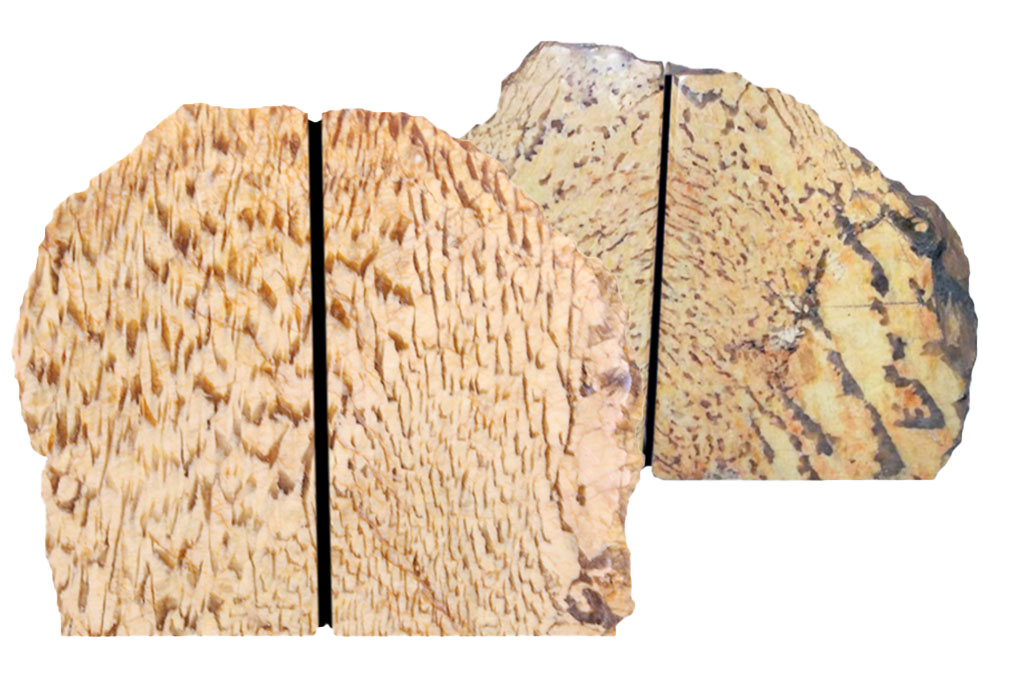 Zebradorite Bookends 3-5 Kg