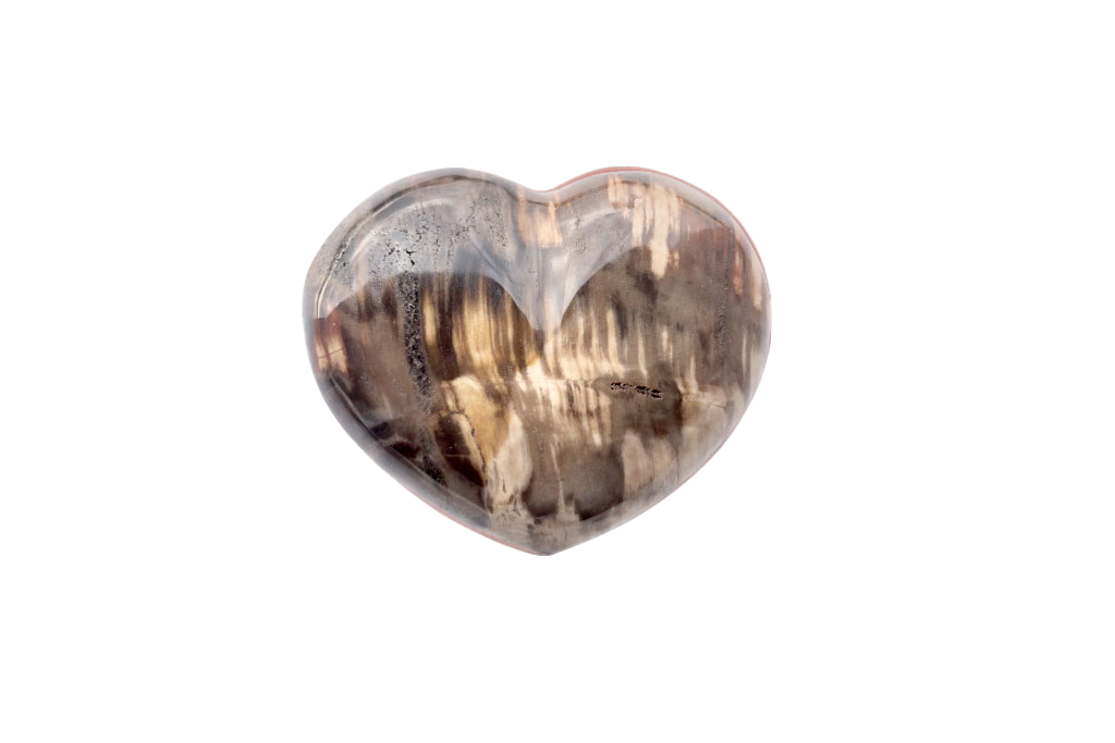 Petrified Wood Decorative Heart