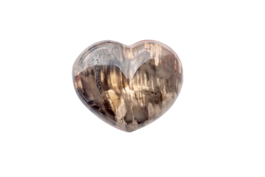 Petrified Wood Decorative Heart. Luxury and modern home decor. Gift idea items