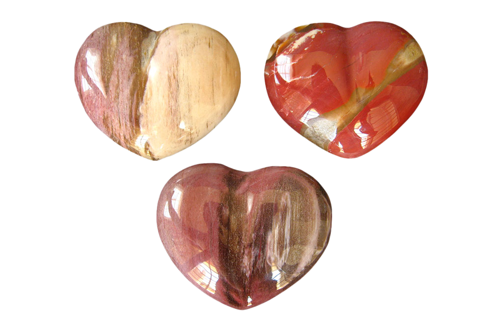 Petrified Wood Decorative Heart. Luxury and modern home decor. Gift idea items
