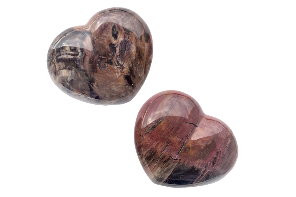 Petrified Wood Decorative Heart