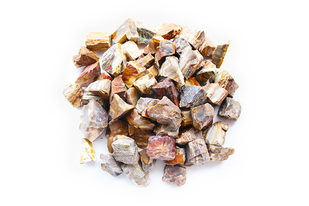 Petrified Wood Gem Decor Rough | 3 Lb Bags